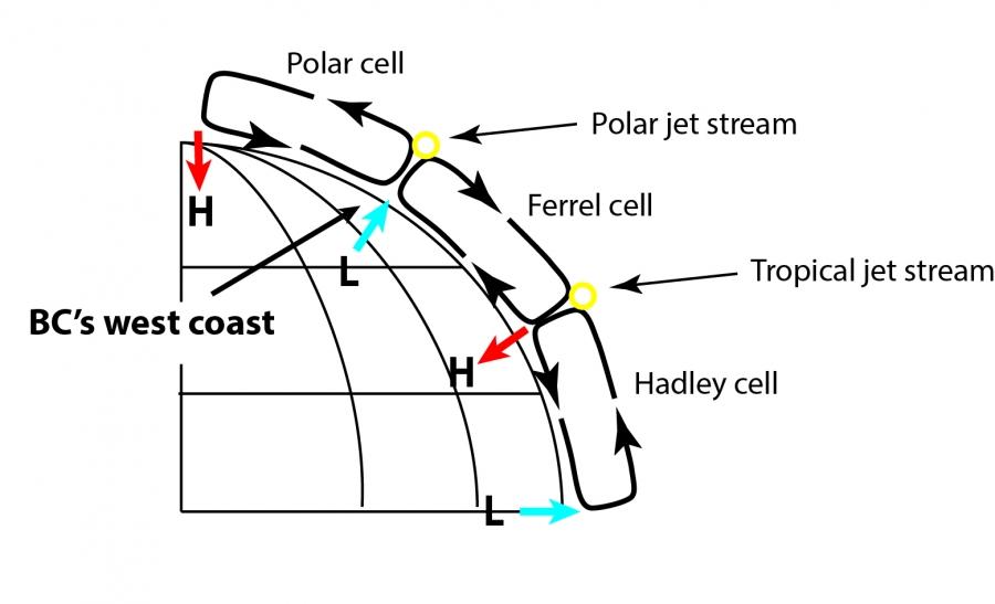 Understanding Weather