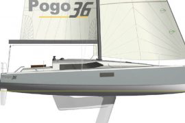 Pogo 36