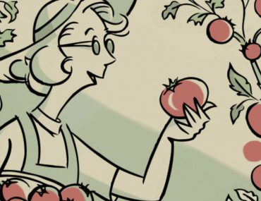Tomatoes and More Tomatoes