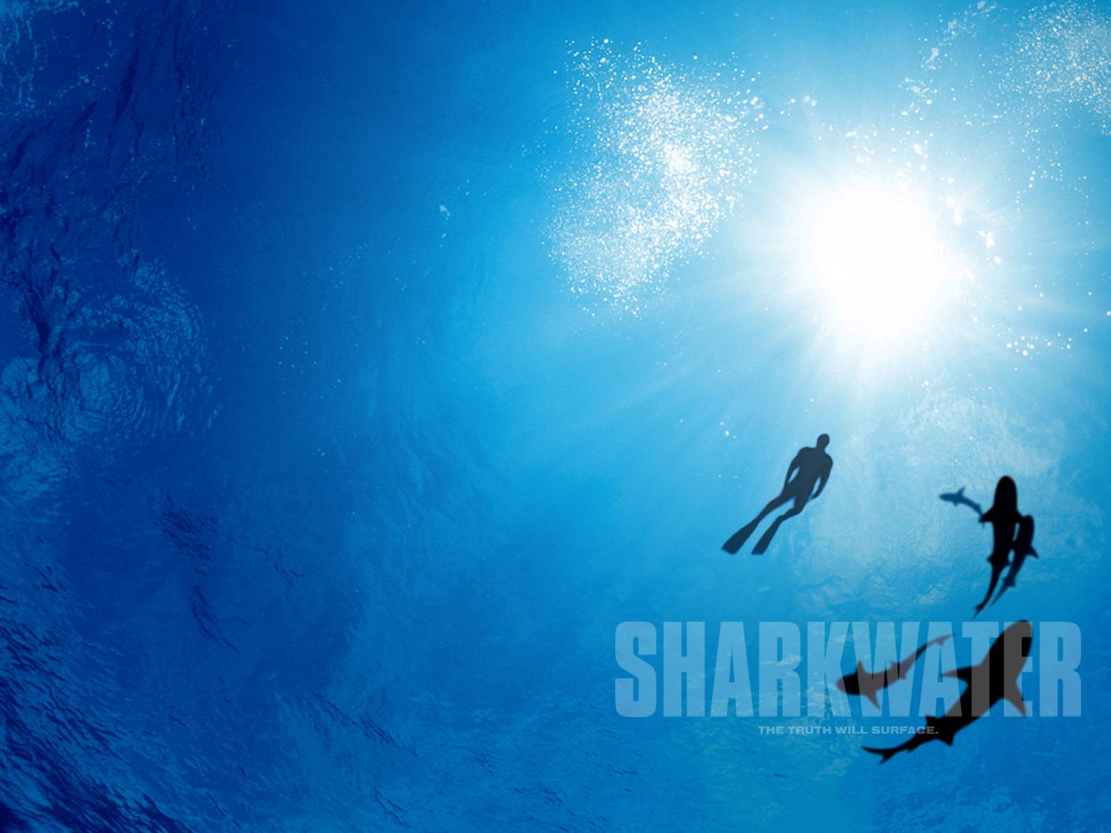 Sharkwater Poster