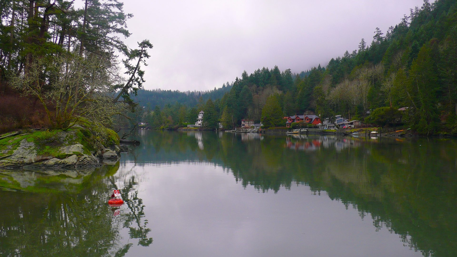 maple bay yachts