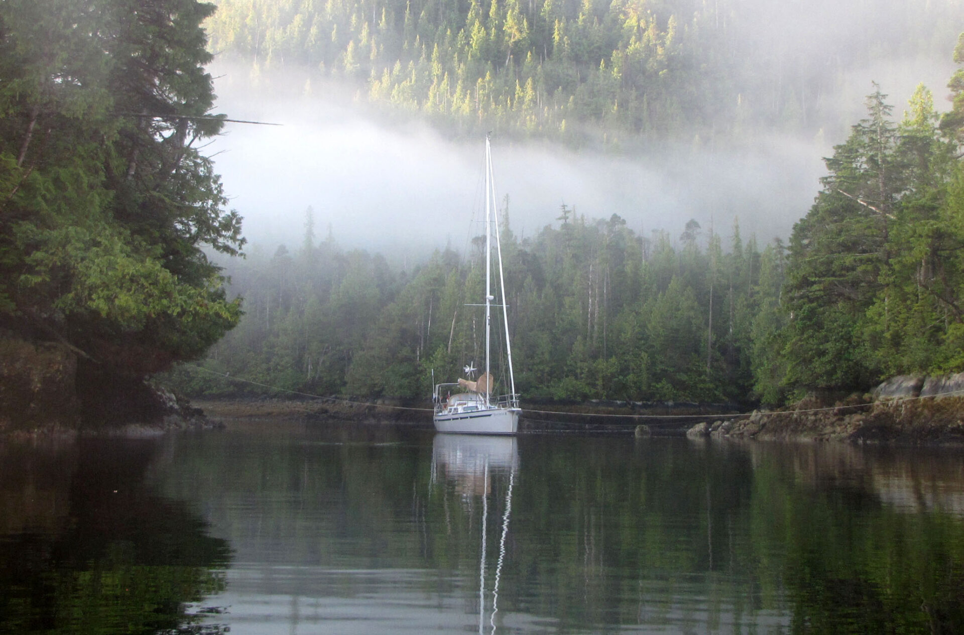 Sailboat in a channel of water