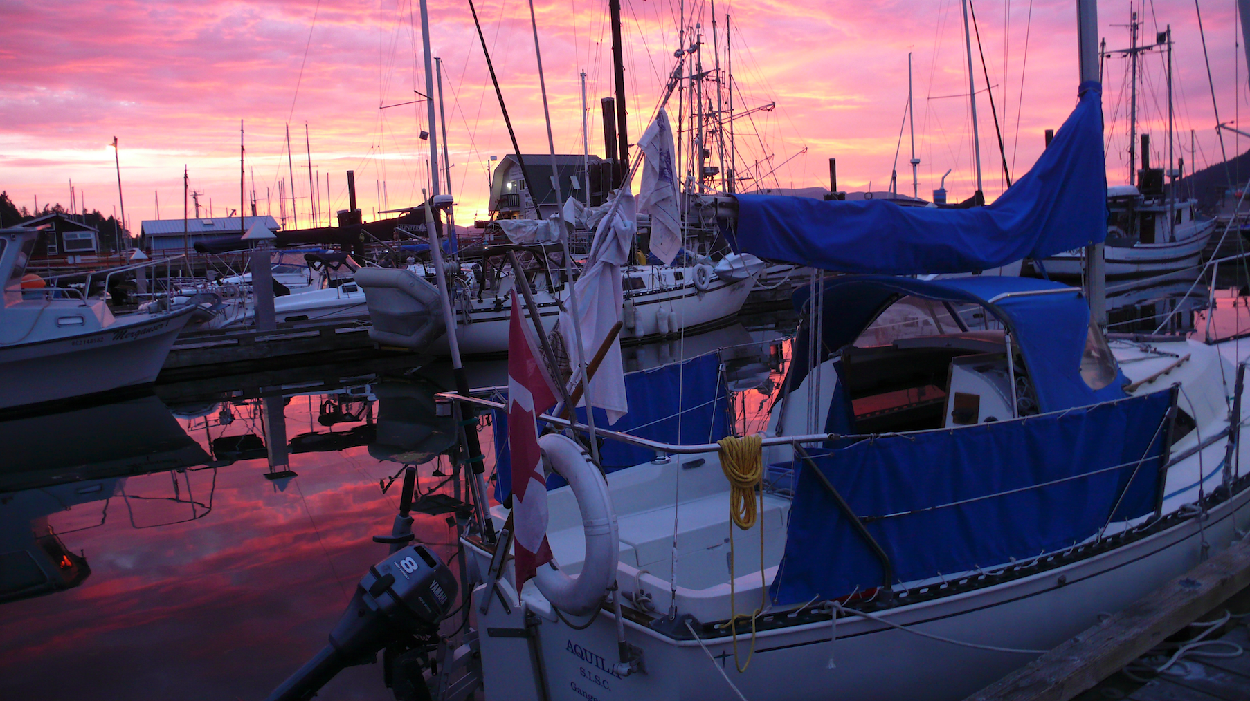 Docked sail boats