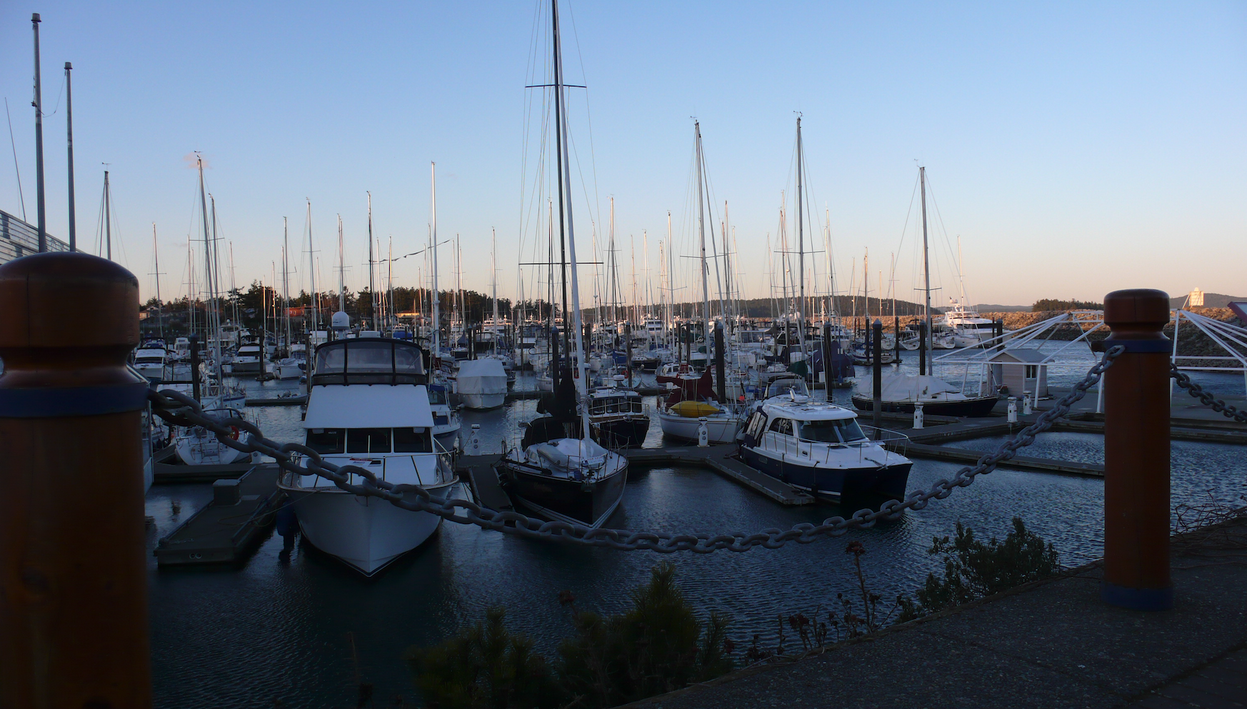 Docked sail boats