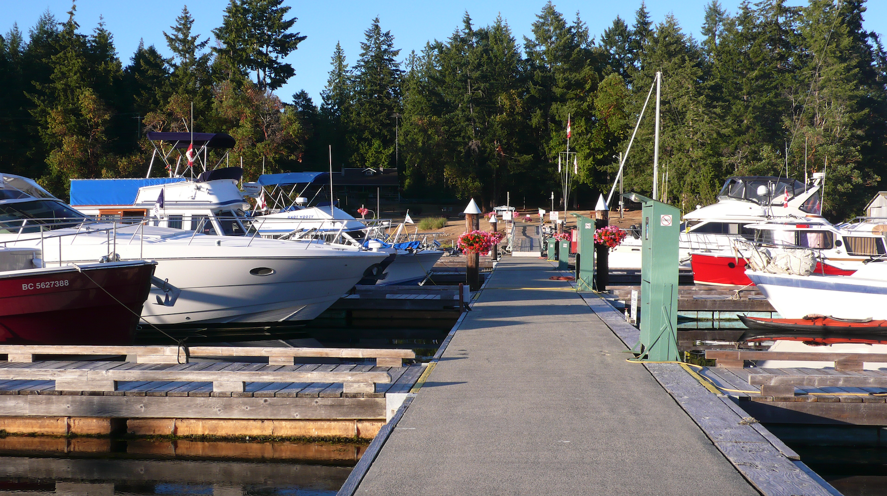 Docked sail boats