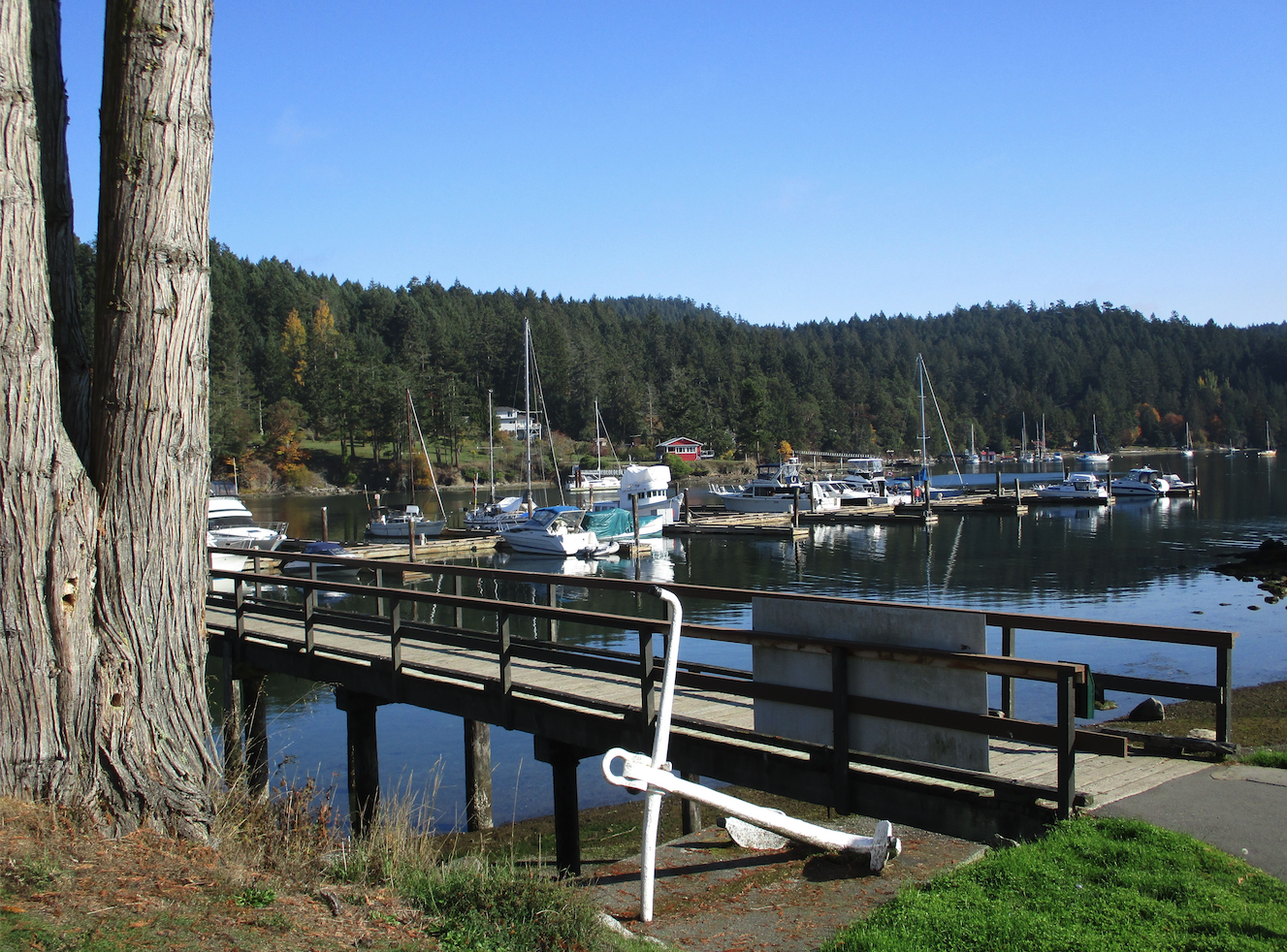 Docked sailboats in British Columbia Canada