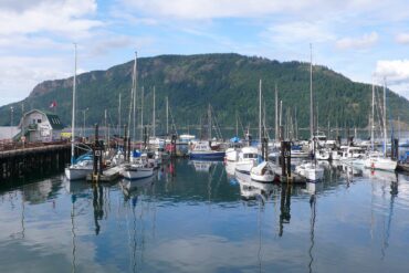 Photo of doc with sail boats