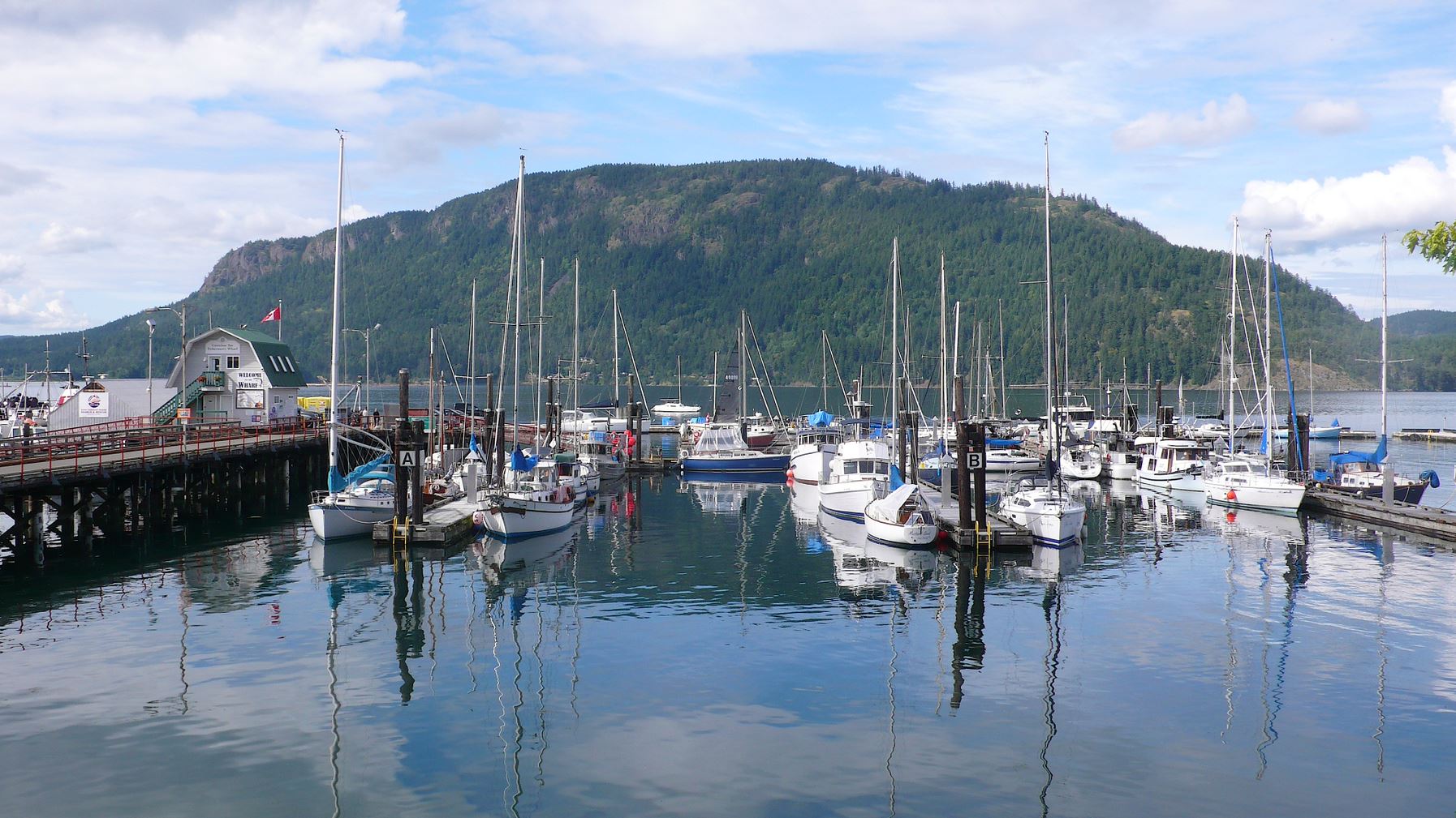 Photo of doc with sail boats